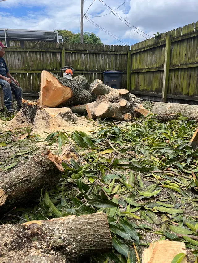 Monty Tree Service — photo from the business 7