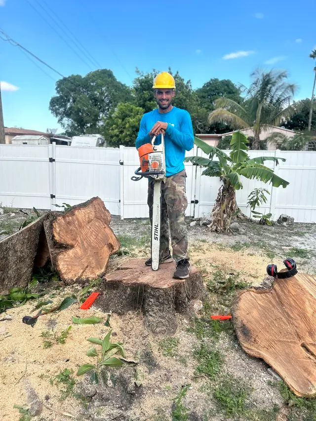 Monty Tree Service — photo from the business 5