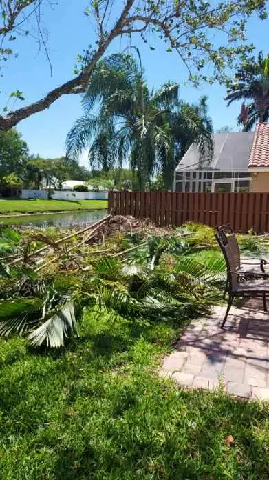 Florida Tree Trimmers — customer photo 9