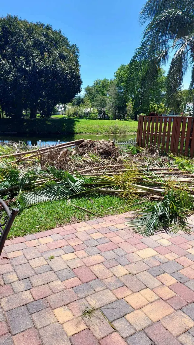 Florida Tree Trimmers — customer photo 7