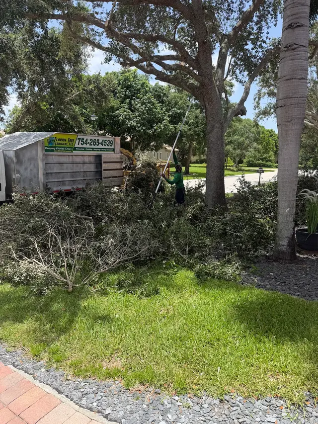 Florida Tree Trimmers — customer photo 2