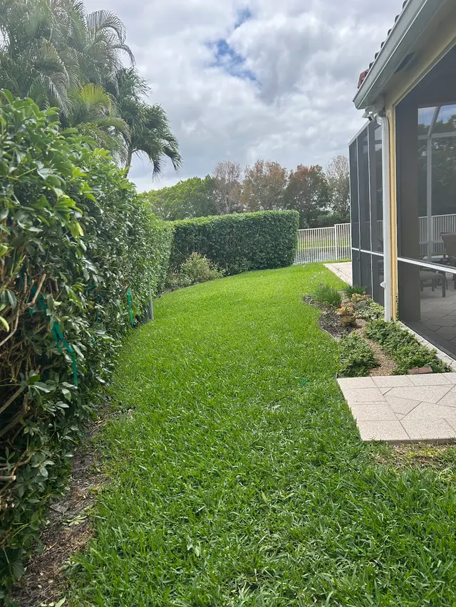 Florida Tree Trimmers — customer photo 11