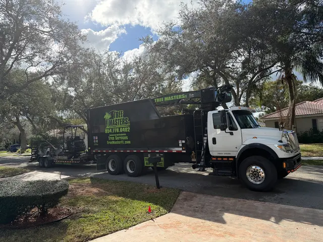 Tree Masters FL — customer photo 3