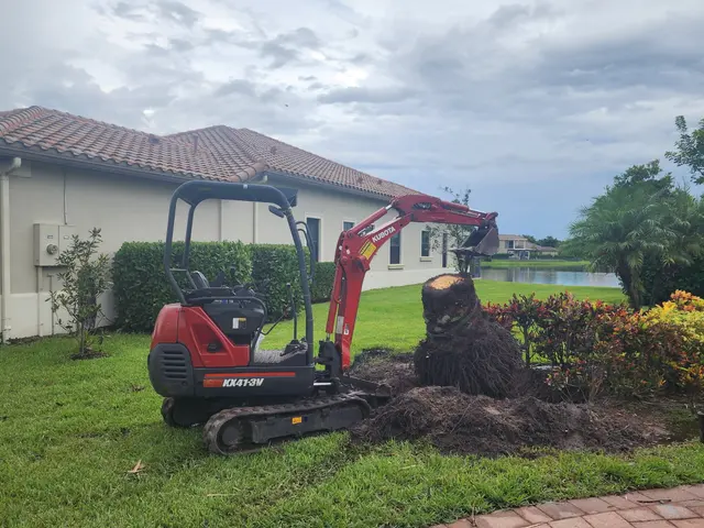 Tree Masters FL — photo from the business 10