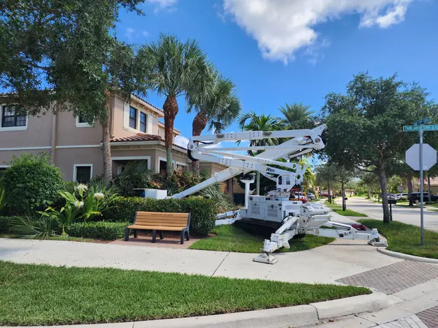 Tree Masters FL — photo from the business 6