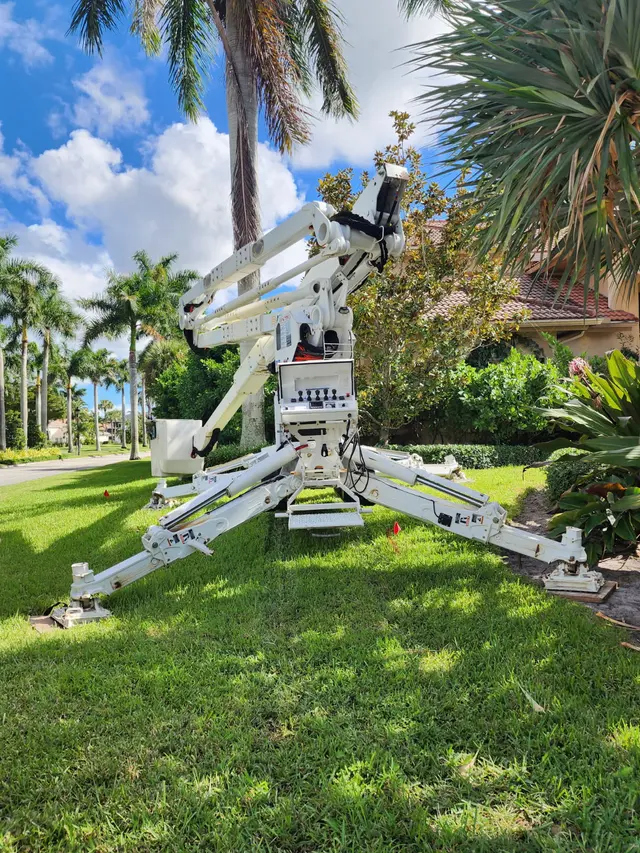 Tree Masters FL — photo from the business 12