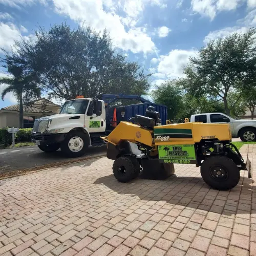 Tree Masters FL — photo from the business 1