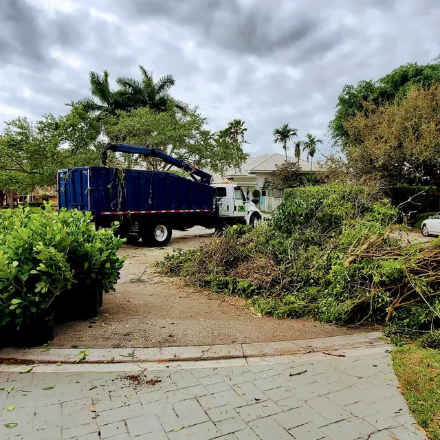 Tree Masters FL — photo from the business 11