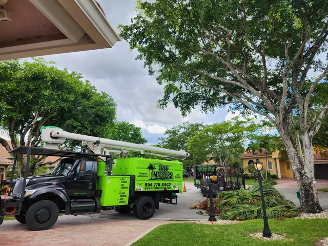 Tree Masters FL — photo from the business 2