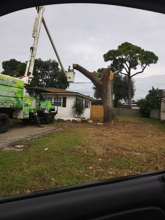 Marshall's Tree Service & Landscaping — photo from the business 5