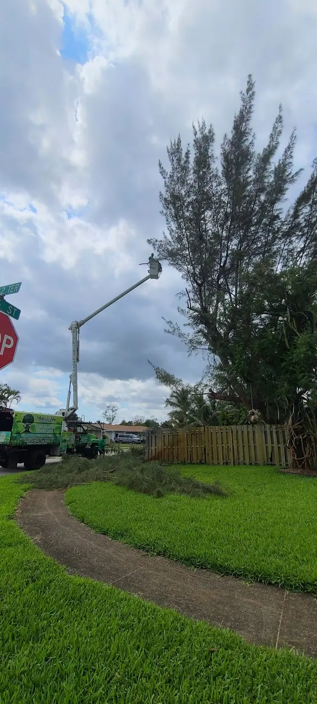 Marshall's Tree Service & Landscaping — customer photo 11