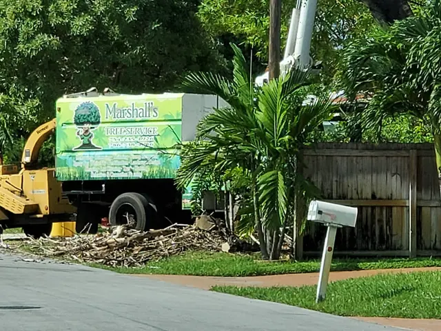 Marshall's Tree Service & Landscaping — customer photo 10