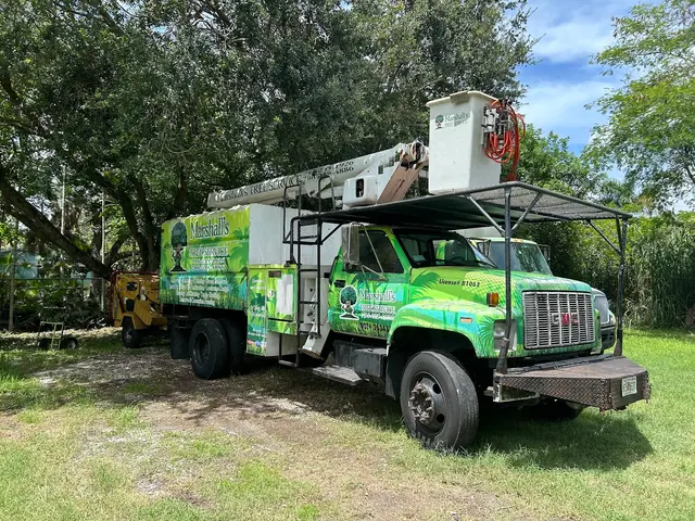 Marshall's Tree Service & Landscaping — photo from the business 1