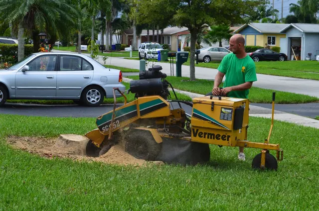 Marshall's Tree Service & Landscaping — photo from the business 3