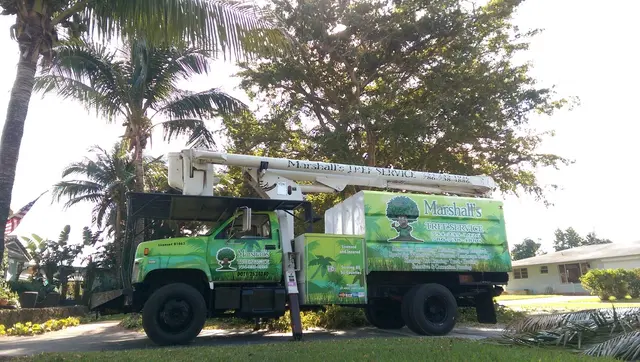 Marshall's Tree Service & Landscaping — customer photo 12