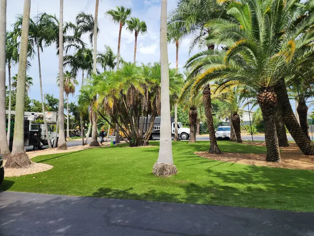 Full Tree Services — photo from the business 6