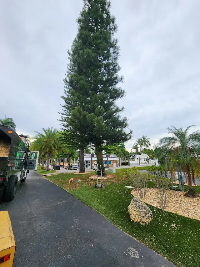 Full Tree Services — photo from the business 8