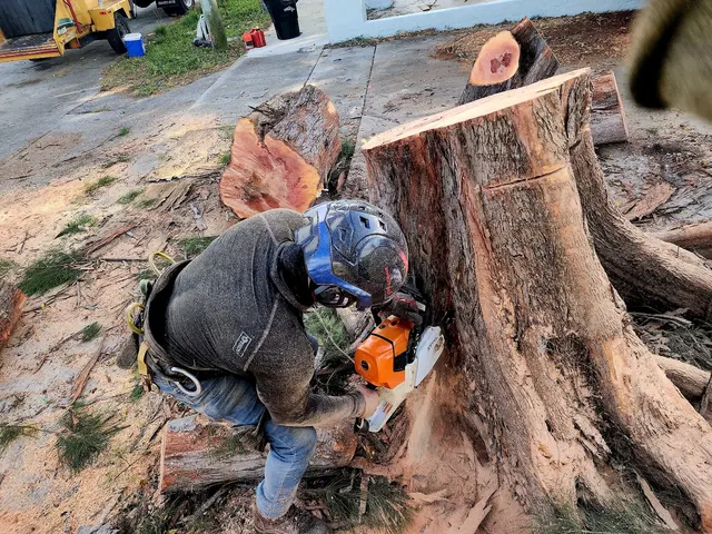 Full Tree Services — photo from the business 3