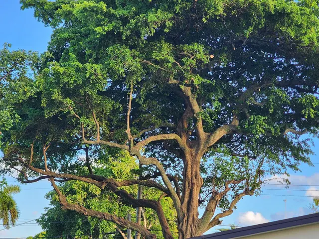 Full Tree Services — photo from the business 9