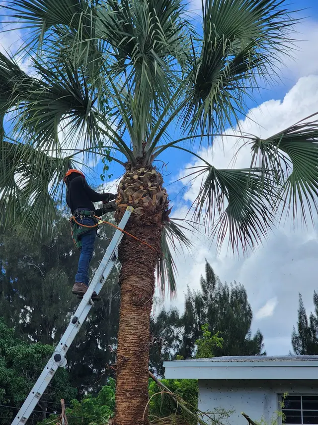 Full Tree Services — photo from the business 4