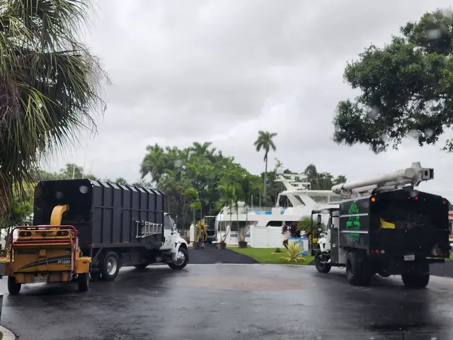 Full Tree Services — photo from the business 1