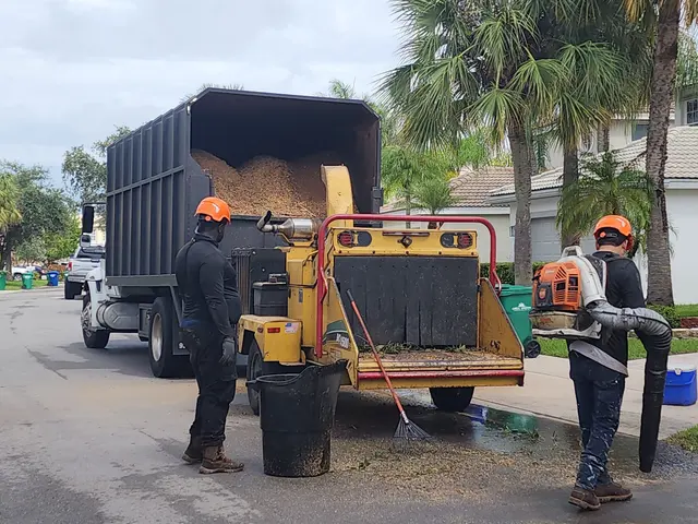 Full Tree Services — photo from the business 10