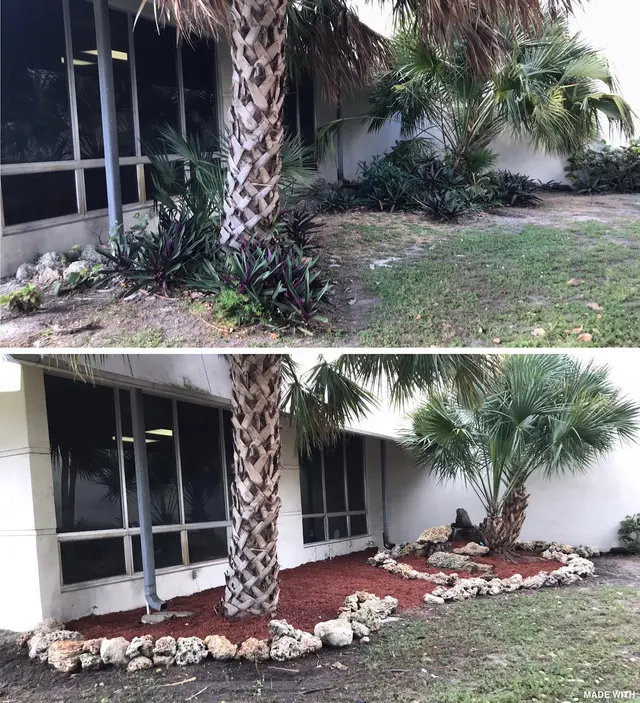 All Trees Matter, Inc. — customer photo 3