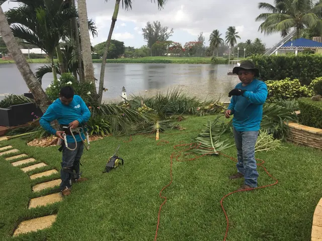 All Trees Matter, Inc. — customer photo 6