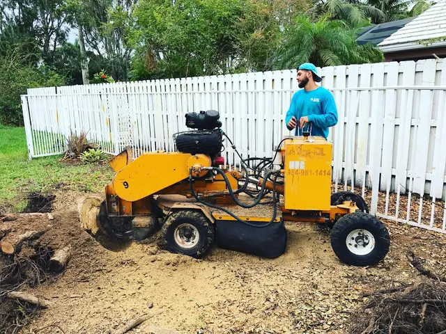 All Trees Matter, Inc. — customer photo 12