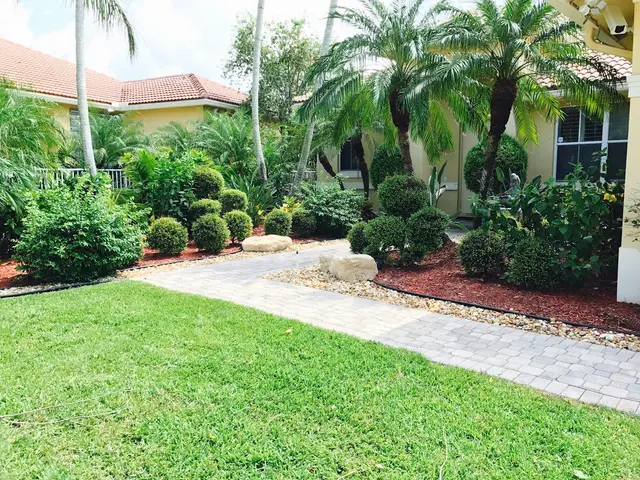 All Trees Matter, Inc. — customer photo 5