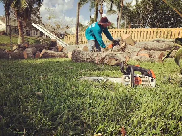 All Trees Matter, Inc. — customer photo 10