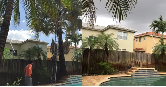 All Trees Matter, Inc. — customer photo 4