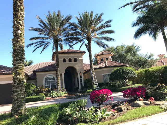All Trees Matter, Inc. — customer photo 9