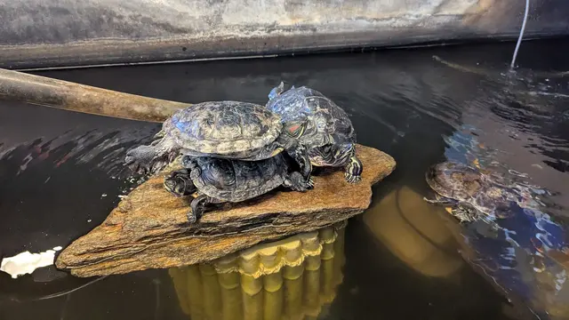 Aqualand Aquarium Center — customer photo 4