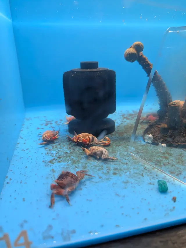 Aqualand Aquarium Center — customer photo 9