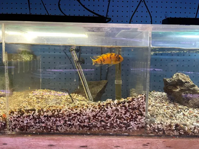 Aqualand Aquarium Center — customer photo 3
