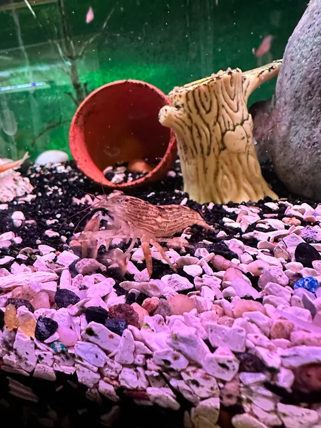 Aqualand Aquarium Center — customer photo 6