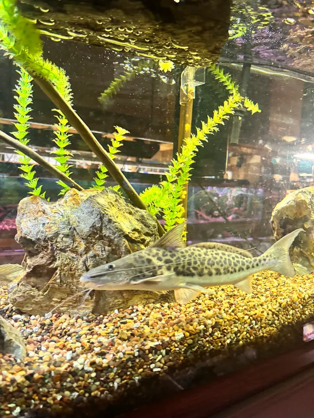 Aqualand Aquarium Center — customer photo 7
