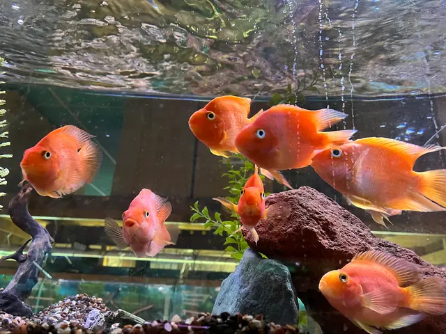 Aqualand Aquarium Center — customer photo 5