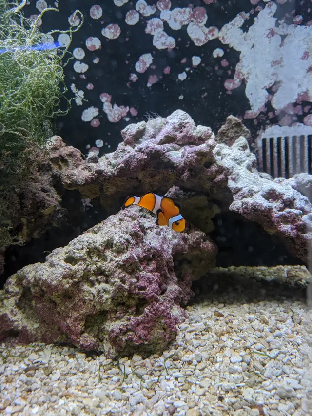 Aqualand Aquarium Center — customer photo 11