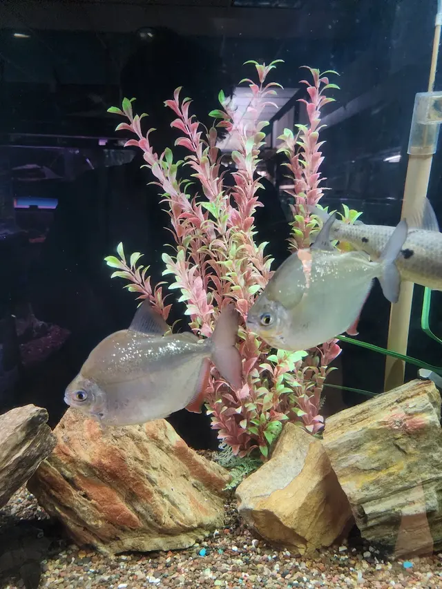 Aqualand Aquarium Center — customer photo 8