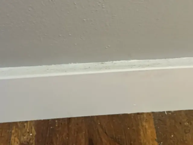 Customer photo of work by Banah Home Services LLC, from Katie Nighswonger's review