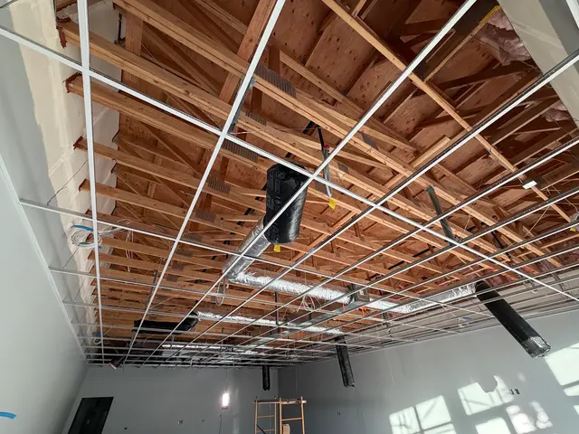 Royal Acoustics & Ceilings — photo from the business 2