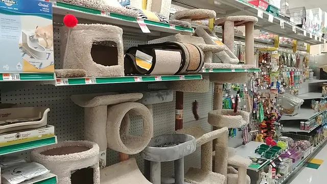 Pet Supplies Plus Bloomington — customer photo 7