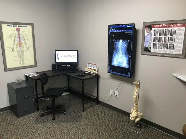 Chiropractic Health & Wellness — photo from the business 8