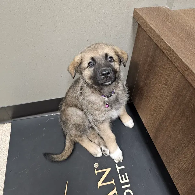 Riverview Animal Hospital — customer photo 10