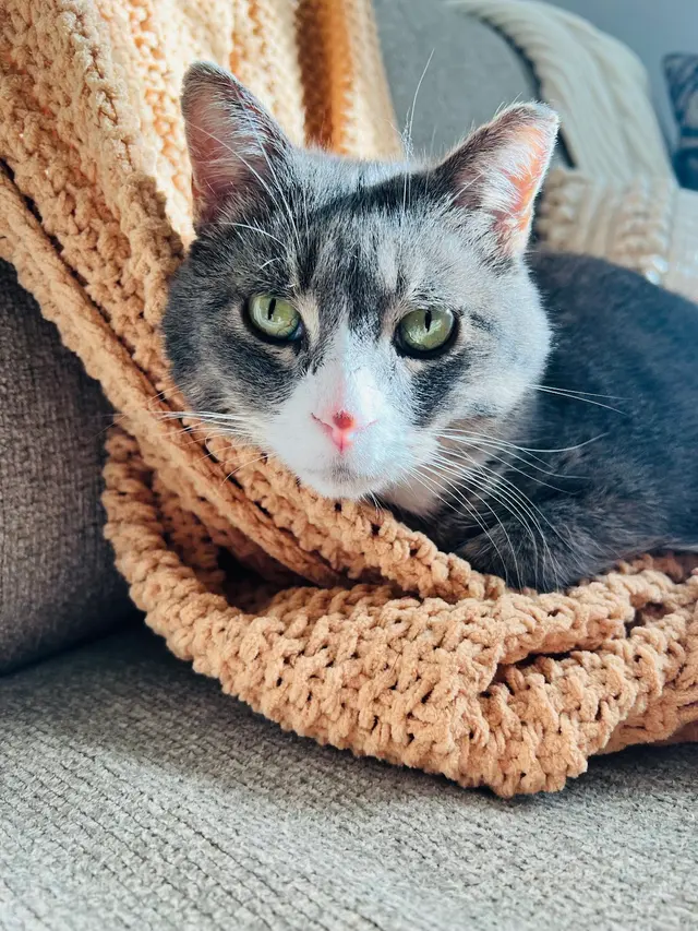 Riverview Animal Hospital — customer photo 4