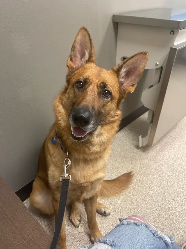 Riverview Animal Hospital — customer photo 1