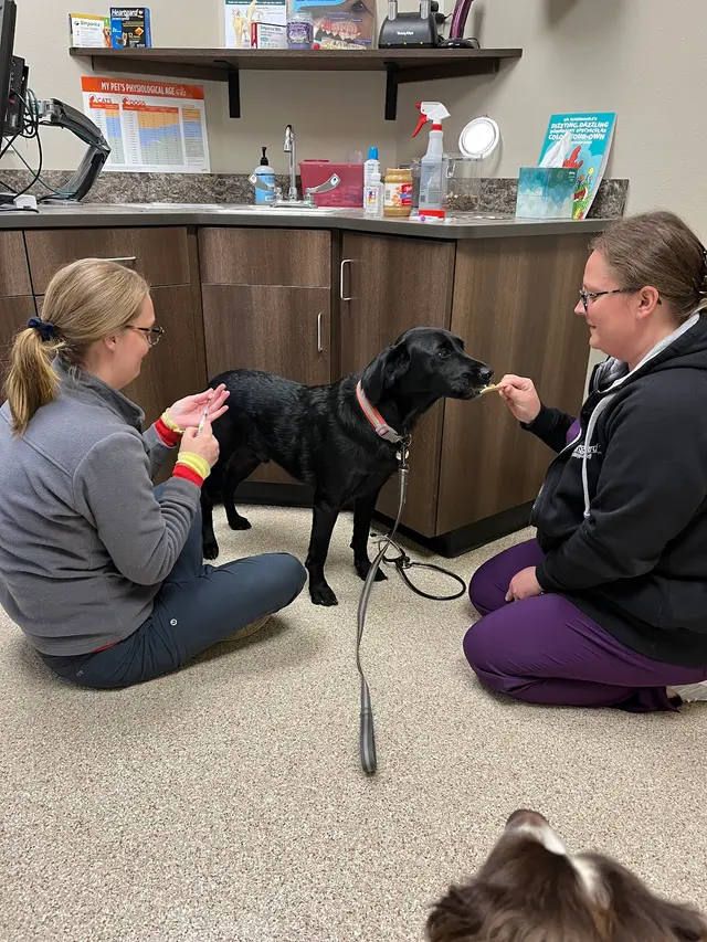 Riverview Animal Hospital — customer photo 6