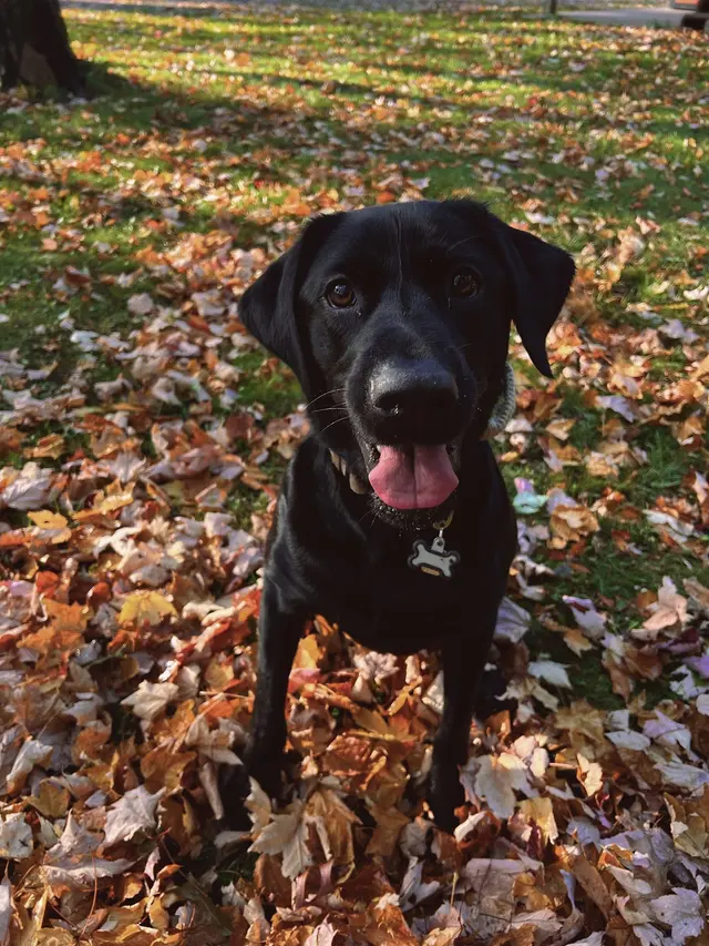 Riverview Animal Hospital — customer photo 3